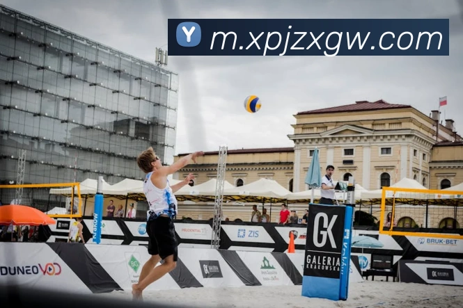 澳门新葡京娱乐APP 封面图